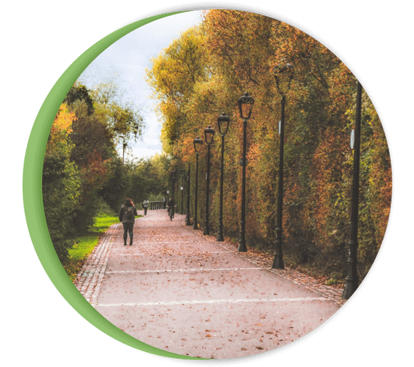 Landscaping, Tulsa When Is The Best Time To Plant A Tree Super Scapes